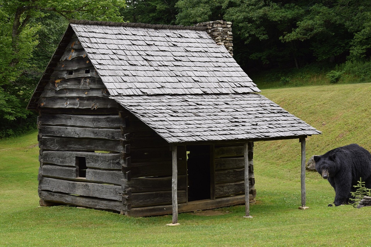 How to Prep Your Cabin for Emergencies